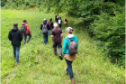 Groupe en train de marcher dans la nature