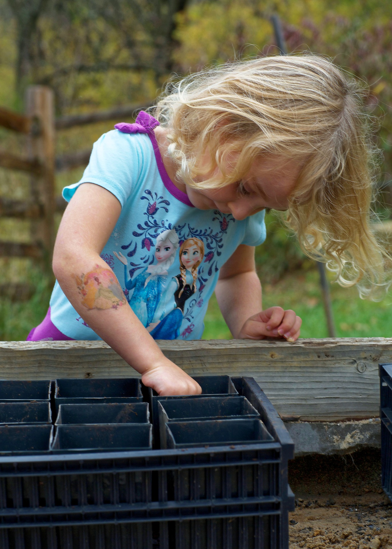 Petite fille semant des graines dans la terre.
