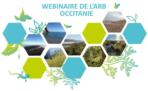 Webinaire de l'ARB Occitanie