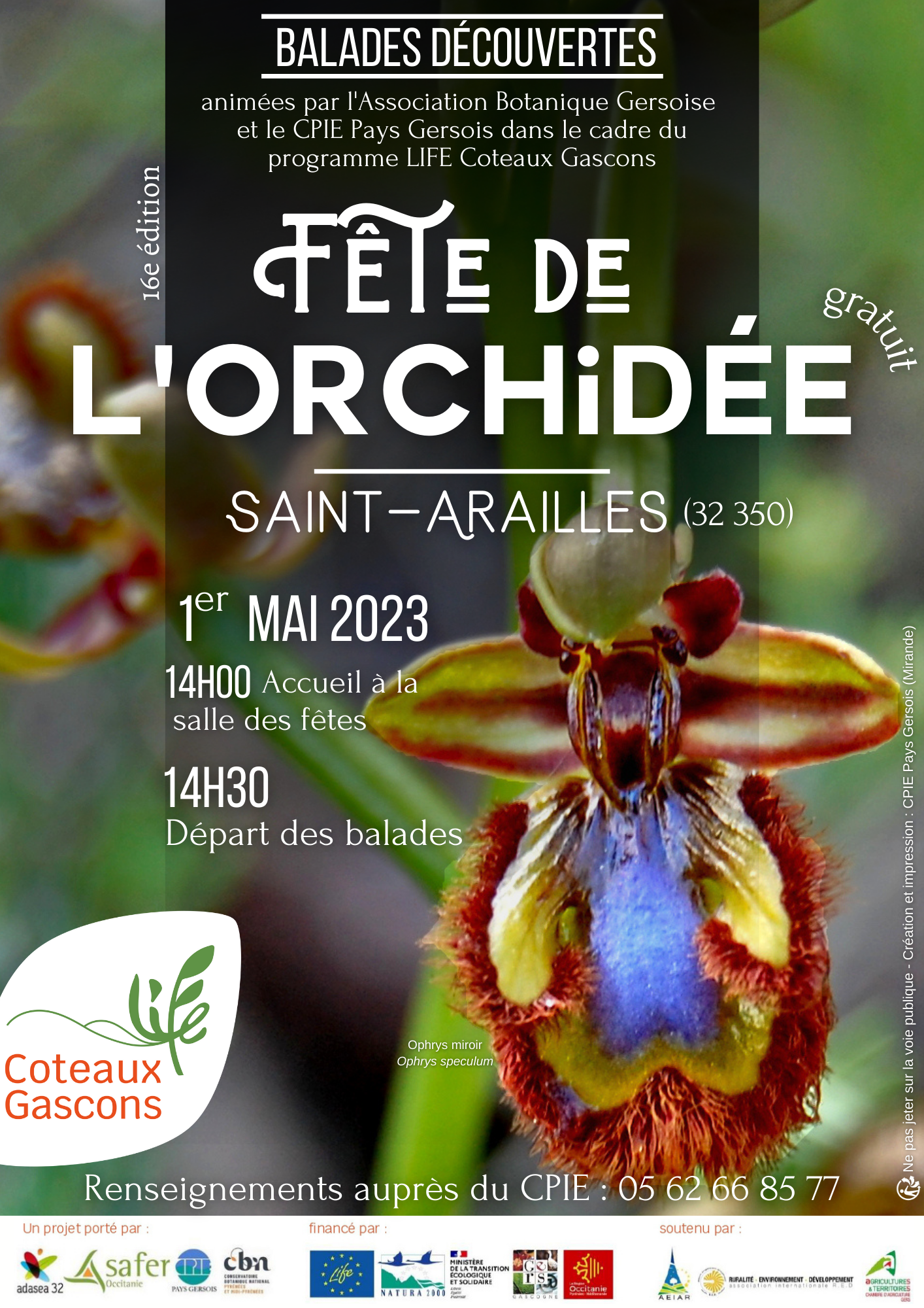 fete de l'orchidee
