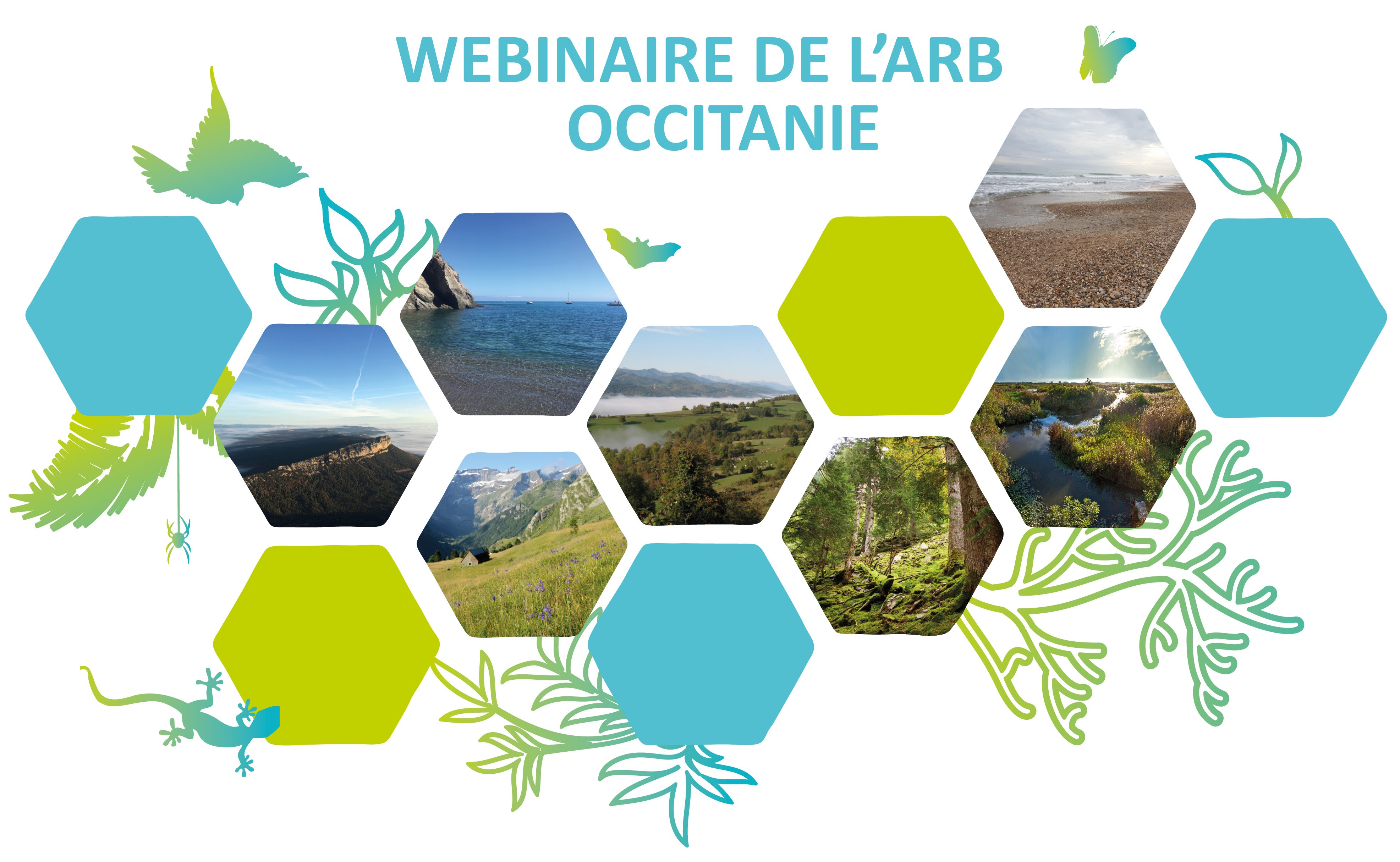 Webinaire ARB Occitanie