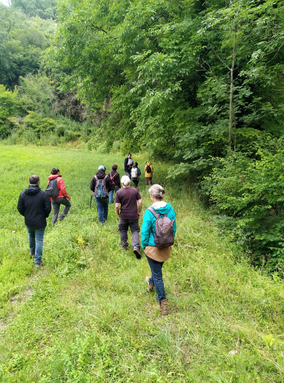 Parcours pédagogiques