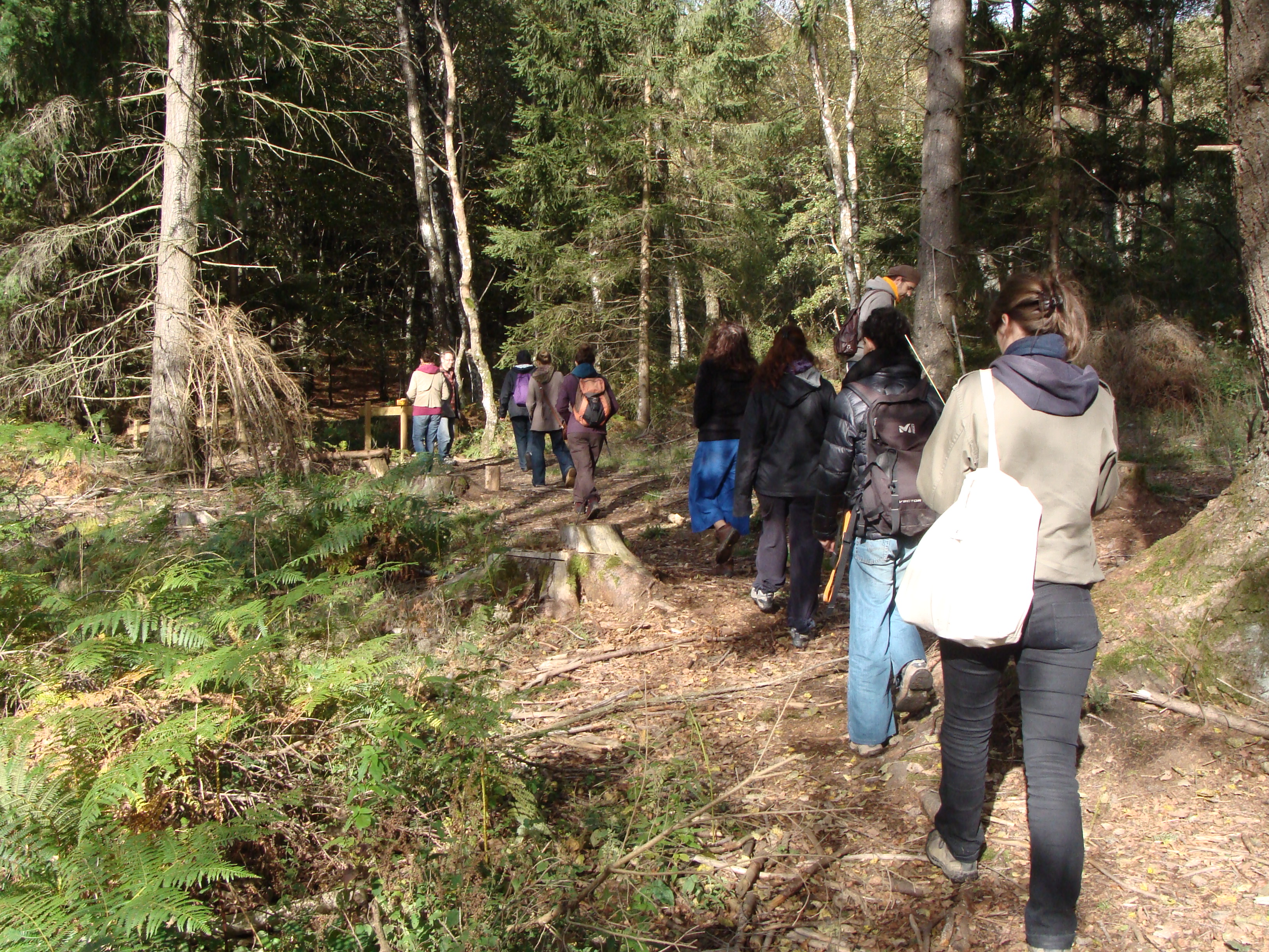 Photo_marche_forêt