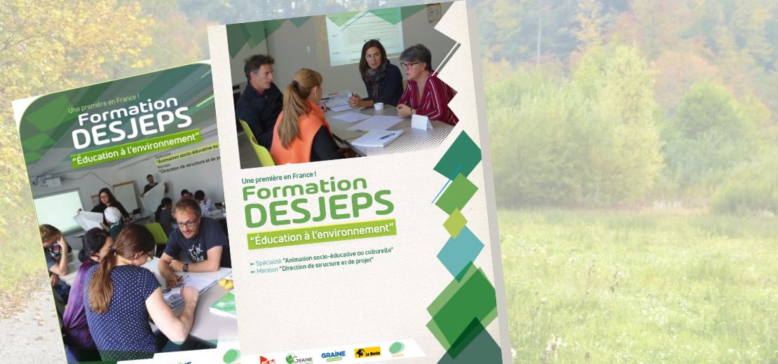 plaquettes DESJEPS