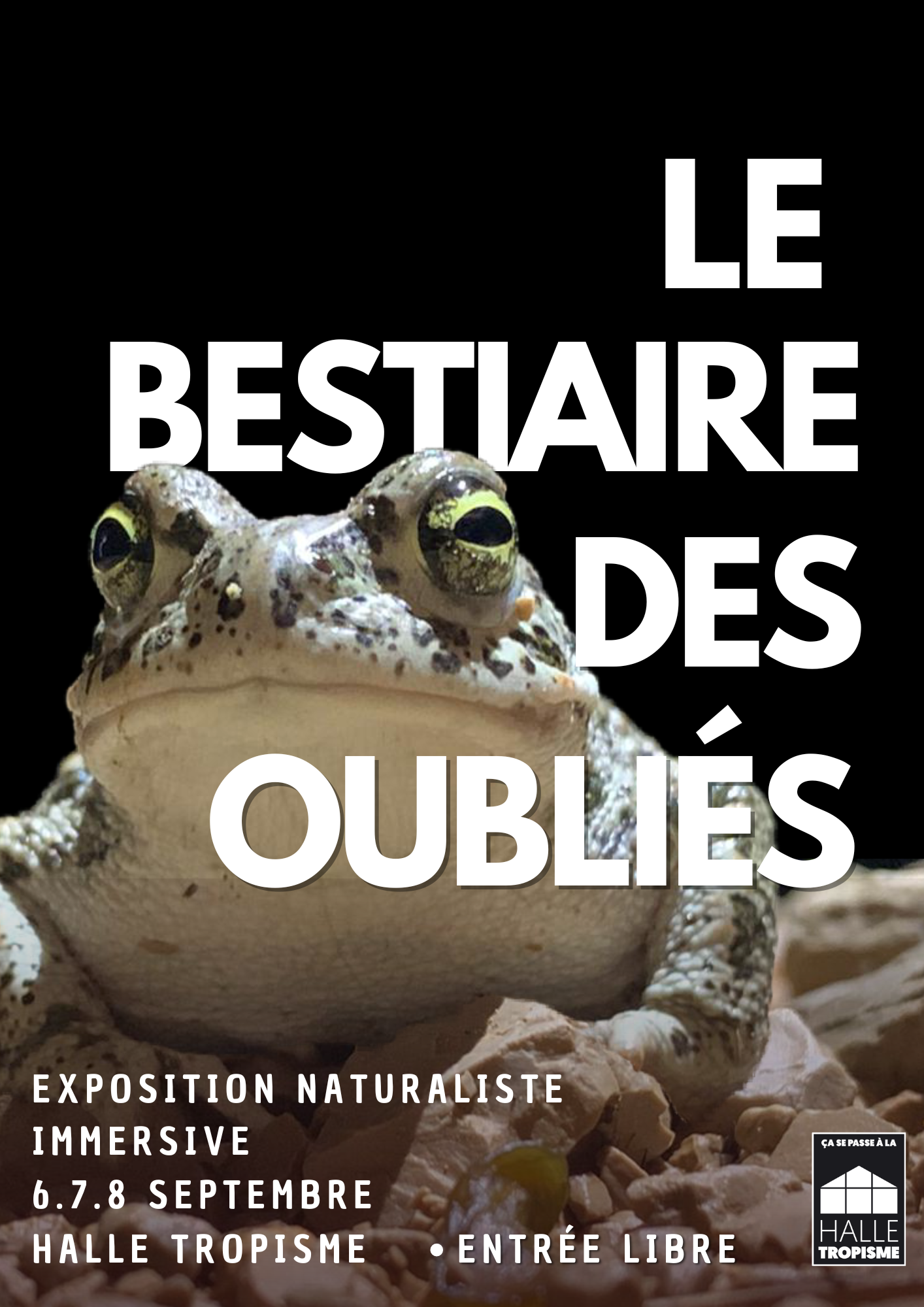 EXPOSITION NATURALISTE IMMERSIVE
