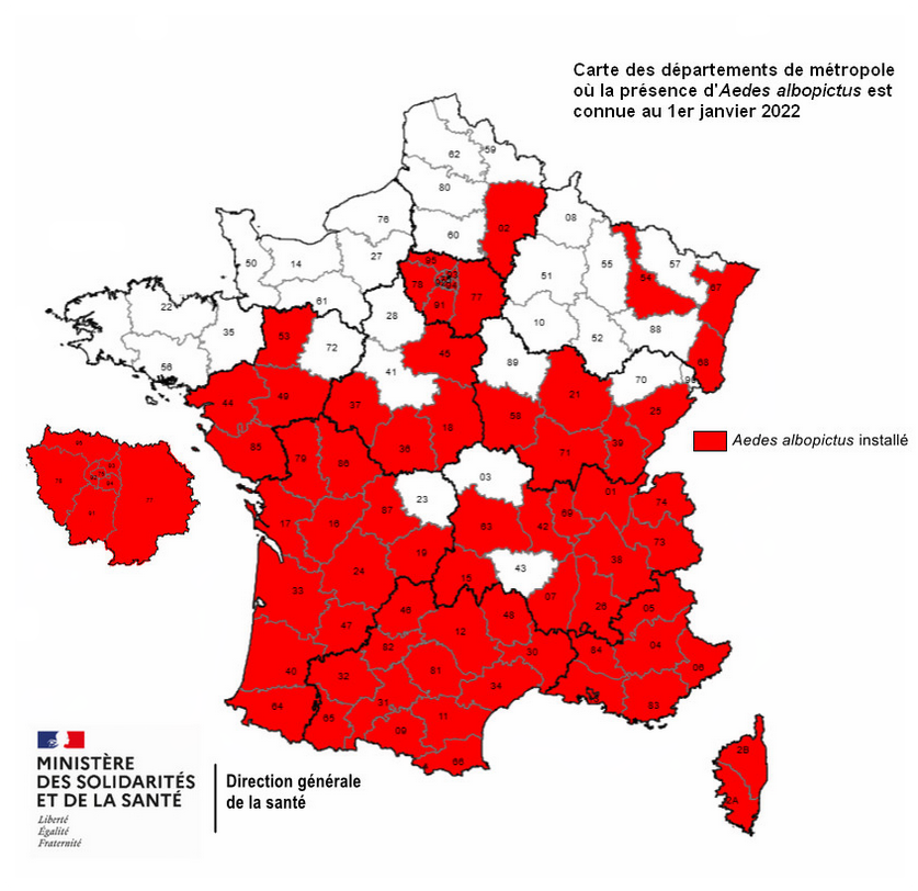 Carte de présence du moustique tigre en France.