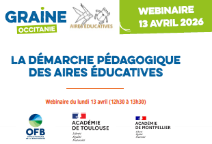 Invitation au webinaire AE 2026