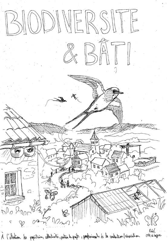 Illustration de couverture Biodiversité et bâti