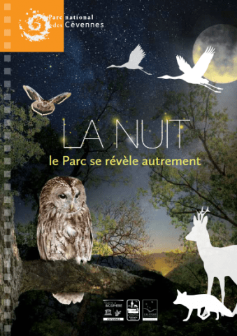 nuit