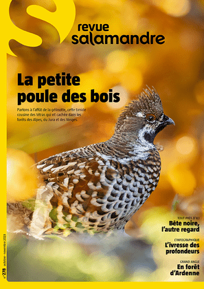 image de couverture