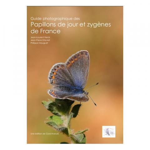 papillons