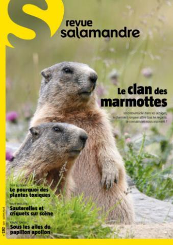 image de couverture