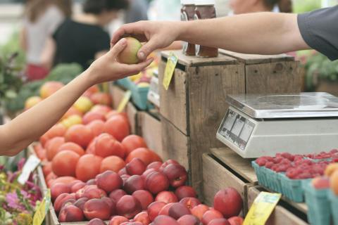 Illustration réseau éduquer à l'alimentation