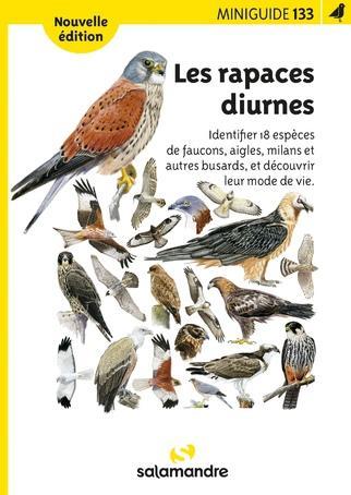 rapaces
